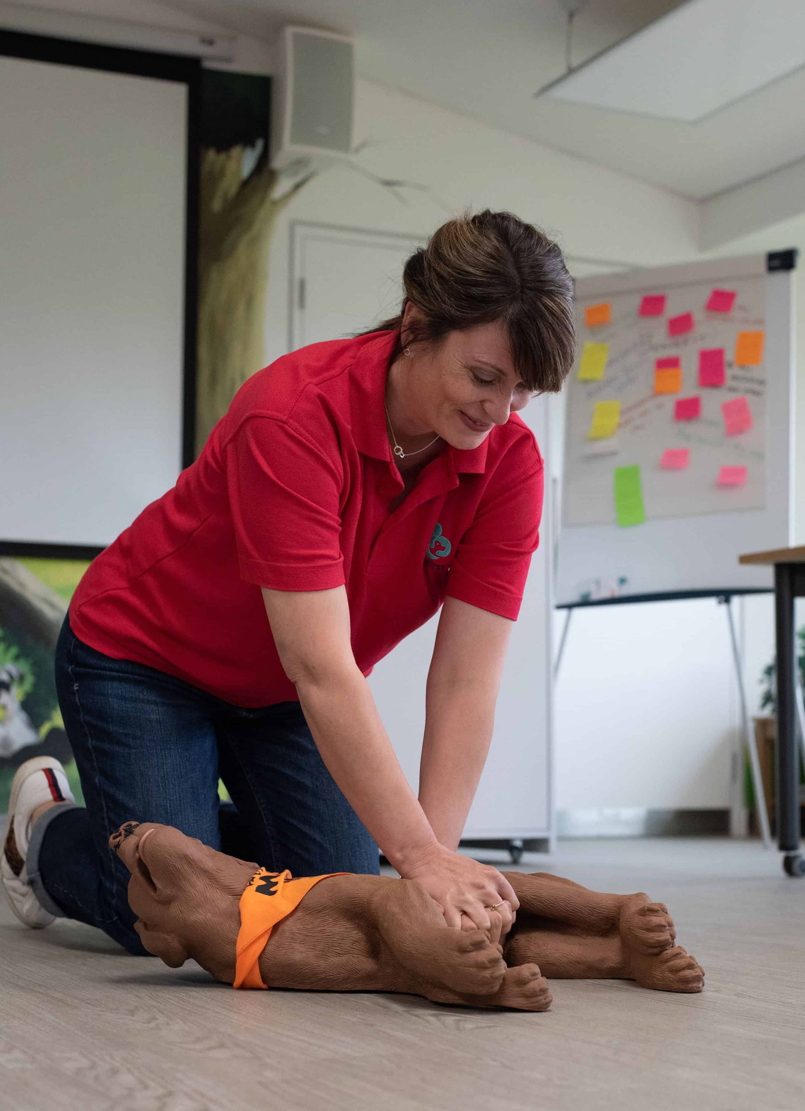 Why attending a dog first aid course is important
