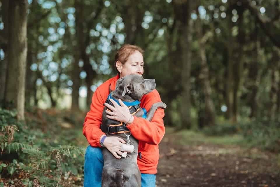 Alternative chewing treats for dogs with an Epulis