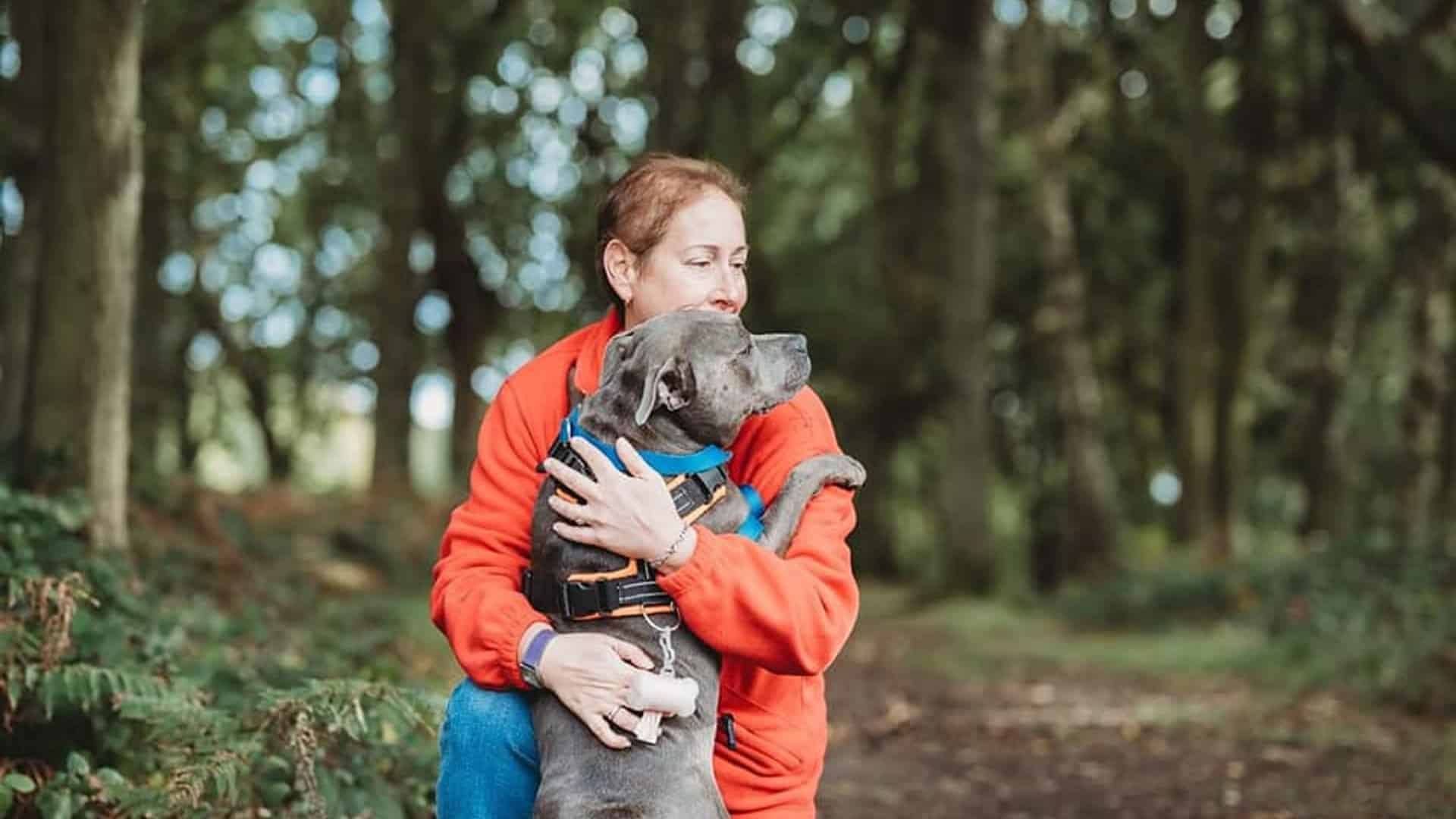 Alternative chewing treats for dogs with an Epulis