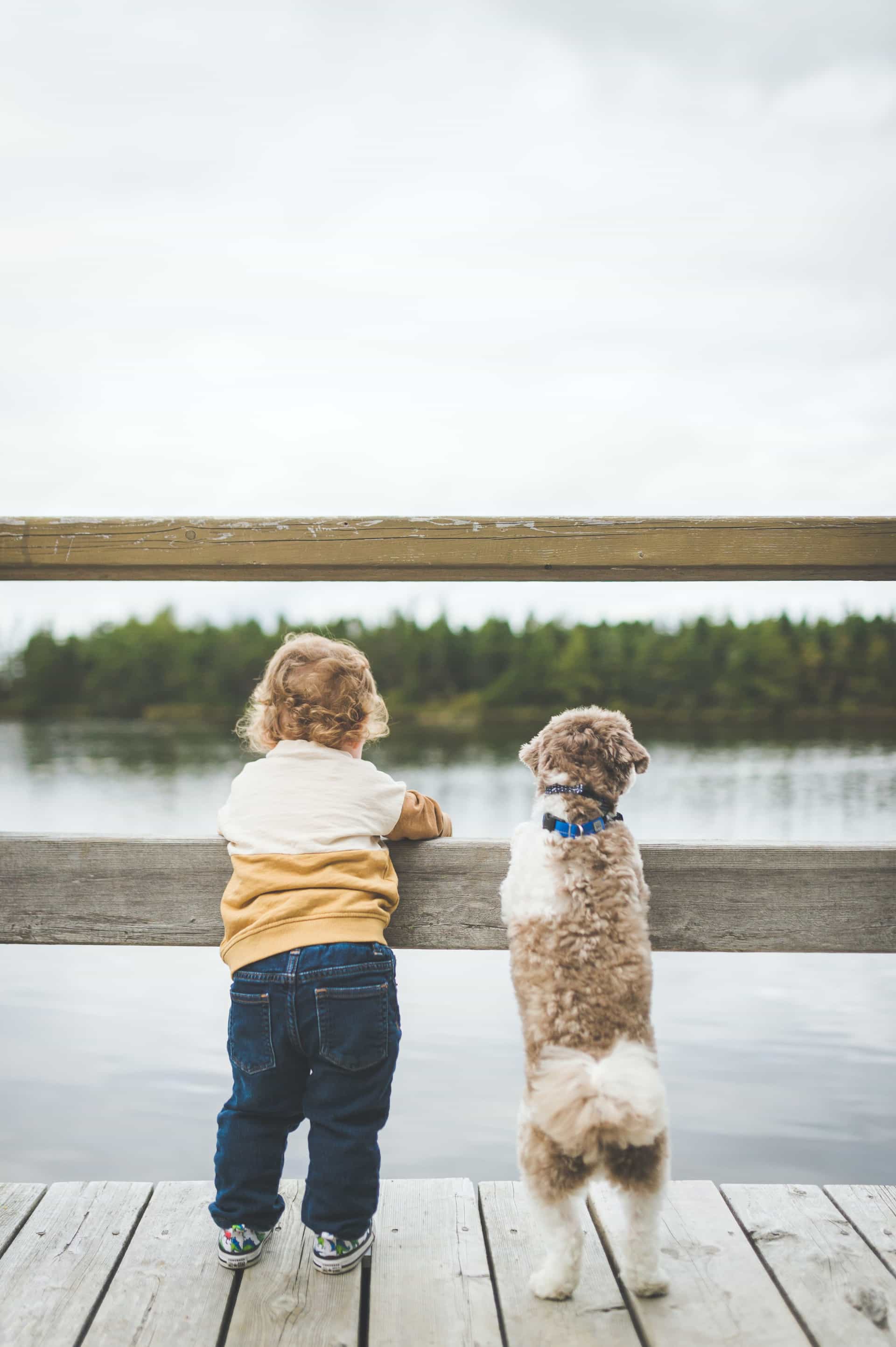 Boy with Puppy Boy with Puppy